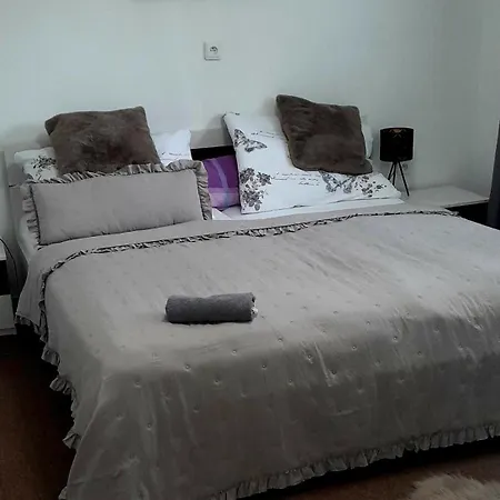 Ubytovanie Dana Piest'any Room photo